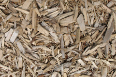 biomass boilers Salperton