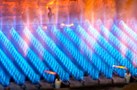 Salperton gas fired boilers
